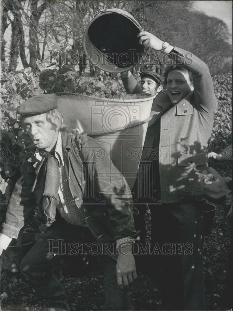 1973 Press Photo Frank Horst &amp; Jacques Martin Act Out Vineyard Harvest - Historic Images