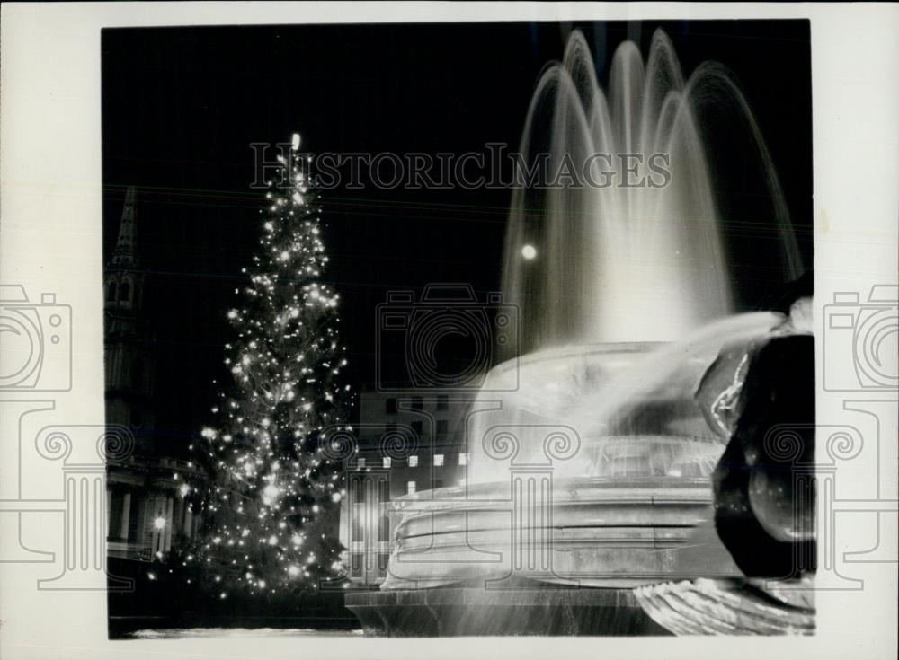 Press Photo The Annual Christmas Tree from Norway in Trafalgar Square - Historic Images