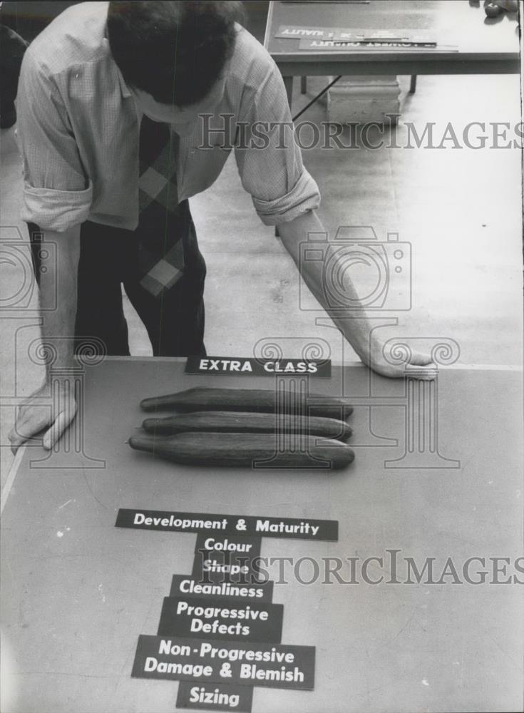 Press Photo Some vegetables on display - Historic Images