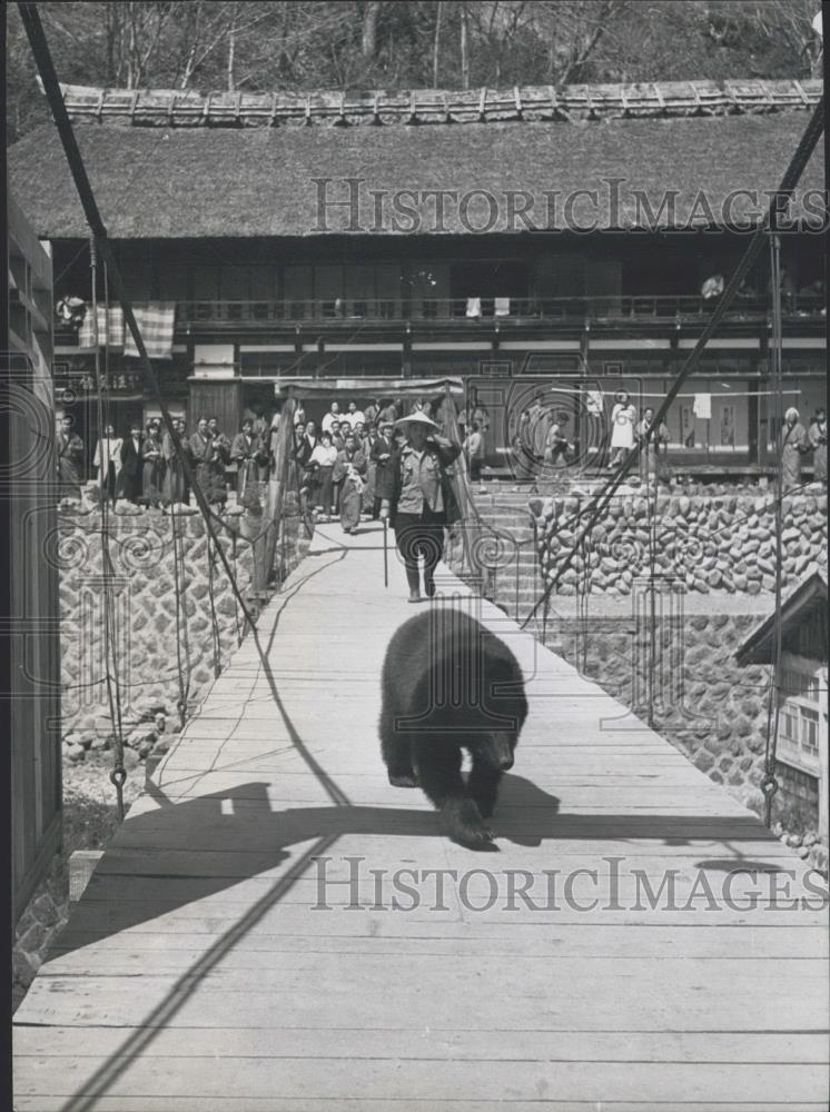 Press Photo A bear on a suspension bridge - Historic Images