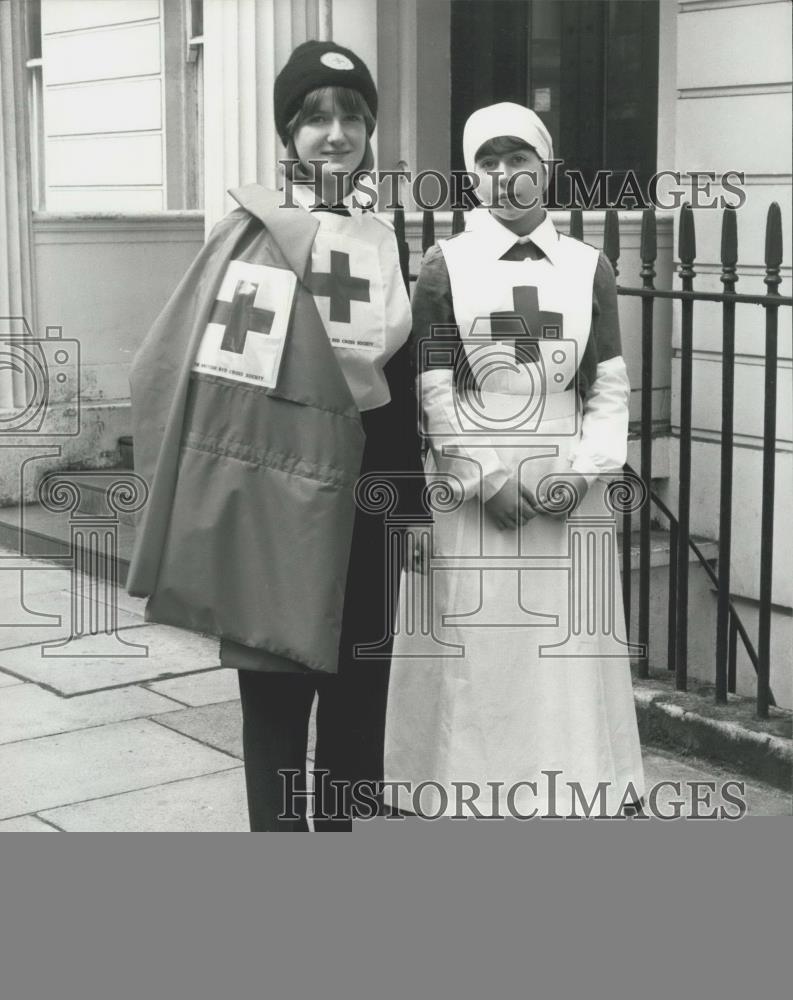 1981 Press Photo Granddaughter of WW1 Red Cross Nurse Rebecca Williams - Historic Images