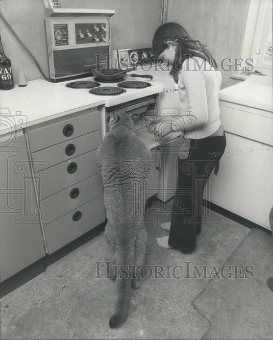 Press Photo Sheba 6 Month Old Puma Lives With Hurst Family - Historic Images
