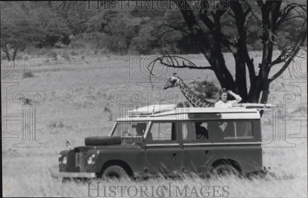 Press Photo Hanging with a Giraffe - Historic Images