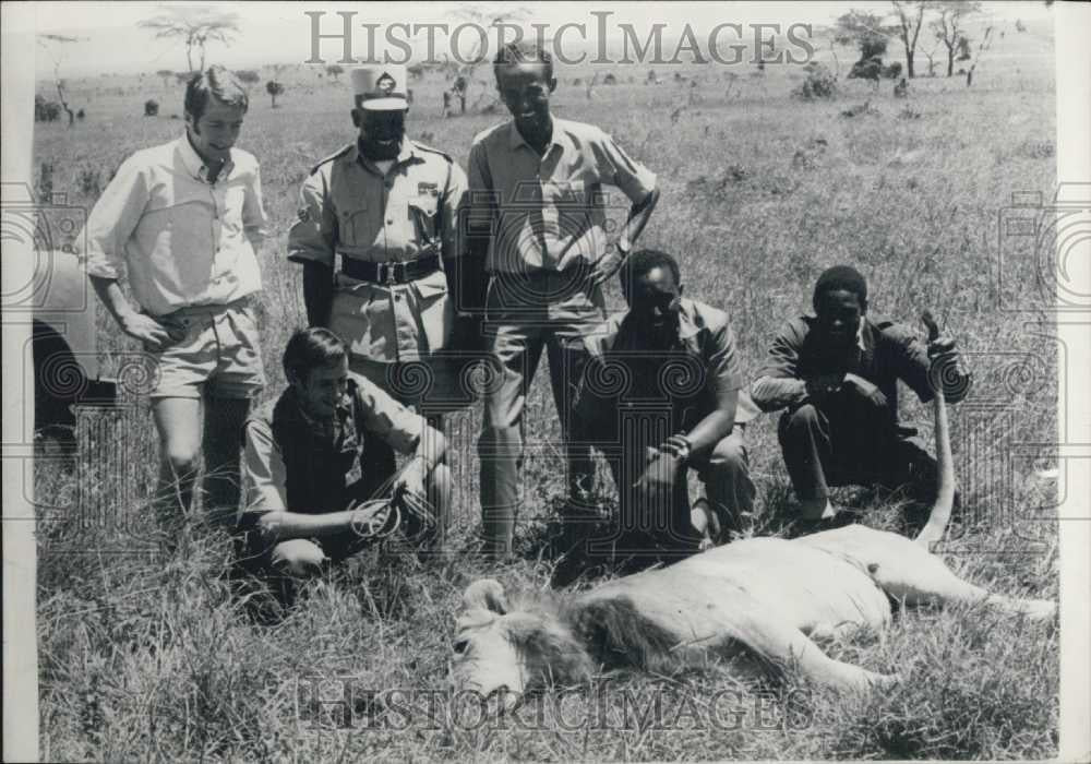 Press Photo A vetrinarian & assistants give a checkup to a lion - Historic Images