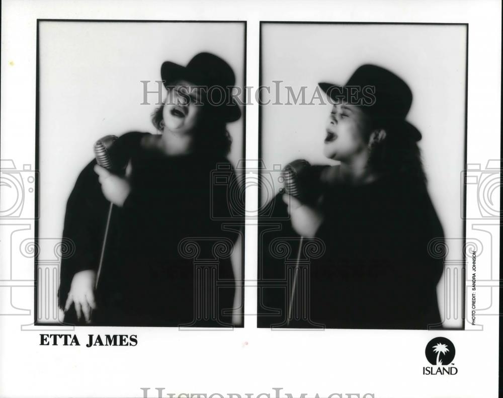 1990 Press Photo Etta James Singer - cvp24564 - Historic Images