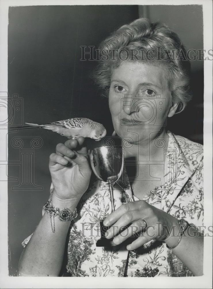 1959 Press Photo Budgerigar Peter Wins Cage Contest - Historic Images