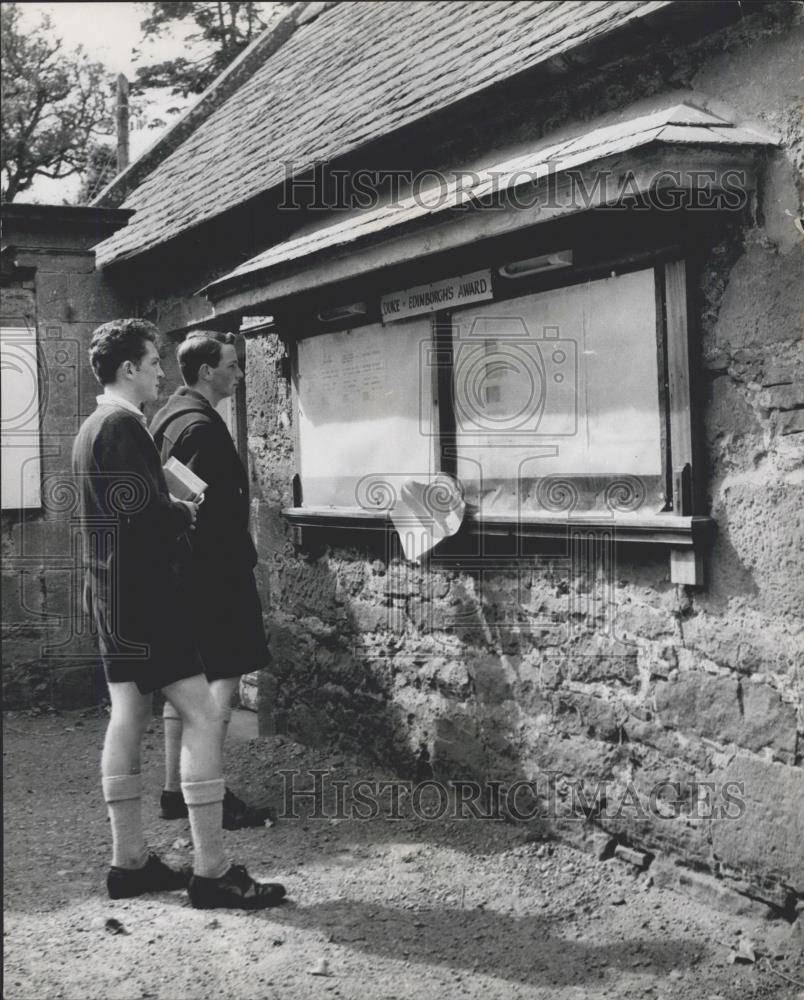 Press Photo Senior boys studying the Duke of Edinburgh&#39;s Award Notice Board - Historic Images