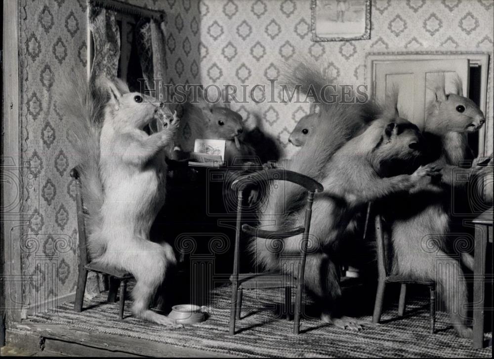 Press Photo 18 Members of the Club are all Red Squirrels - Historic Images