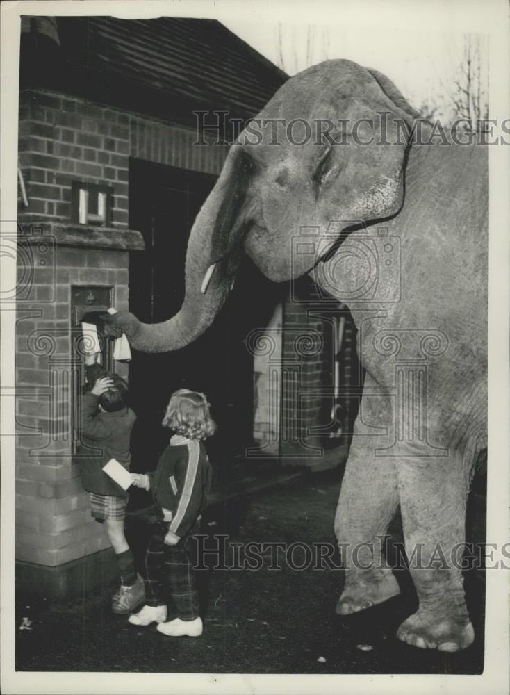 Press Photo Two children with an elephant - Historic Images