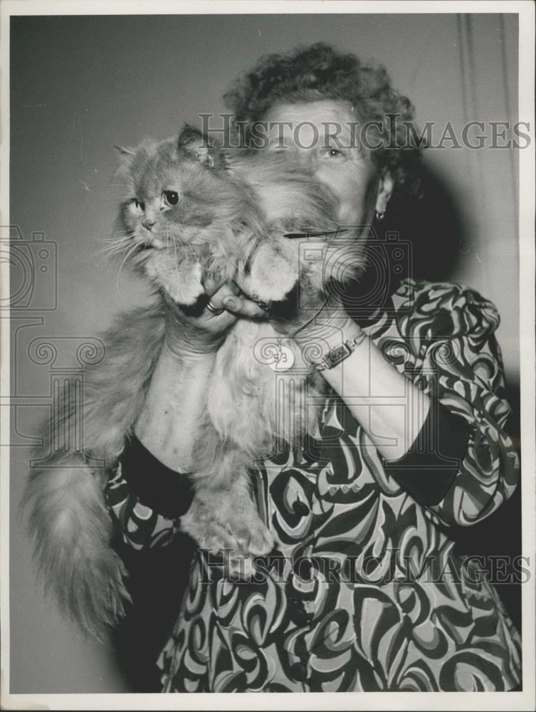 Press Photo 2nd German Show of Precious Cats , Persian tom-cat. - Historic Images