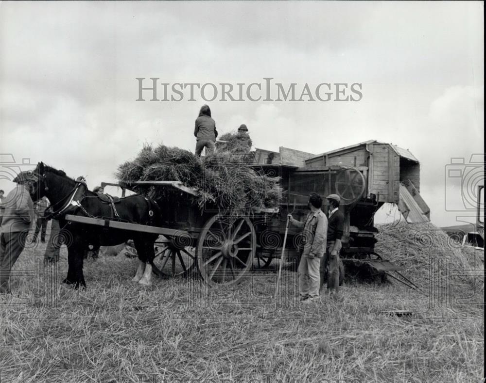 1980 Press Photo John Lewis, Pembrokeshire Farmers Harvesting, Shire Horses - Historic Images