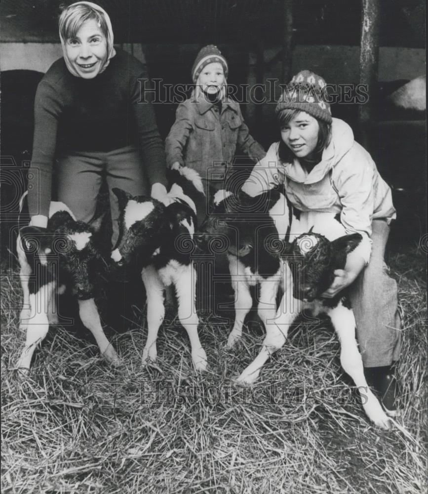 1978 Press Photo Mrs Vitlock with her children and new calves - Historic Images