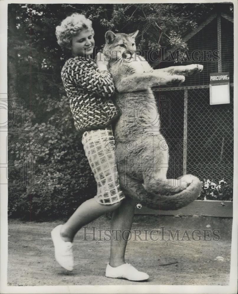 Press Photo Gudrun Bauersachs and a cougar at zoo in Victoria B.C. - Historic Images