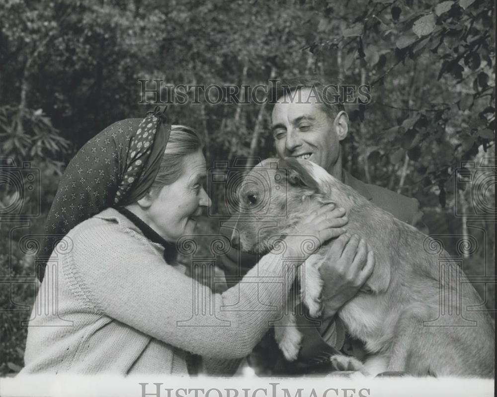 1964 Press Photo Marathon Walker Barbara Moore With Husband And Pet Dog - Historic Images