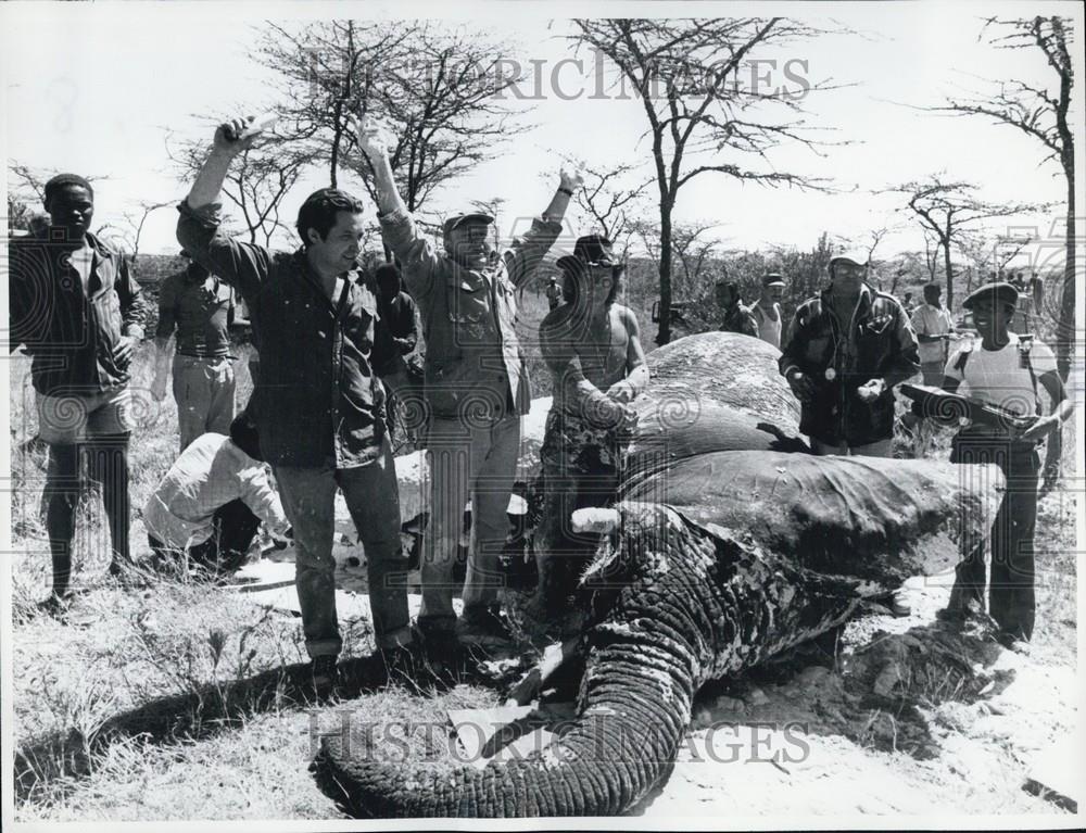 Press Photo An elephant - Historic Images