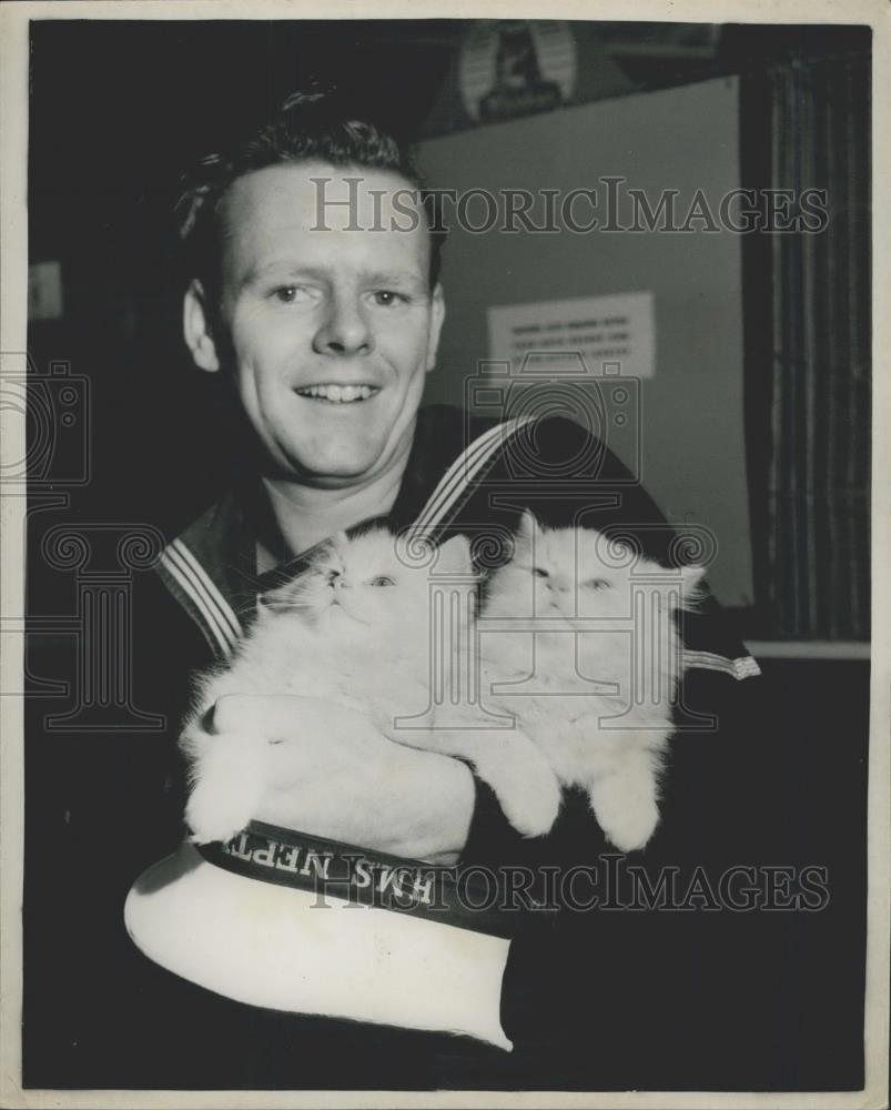 1952 Press Photo R. Sharman, of Brixton, seen with some cream Persian kittens, - Historic Images