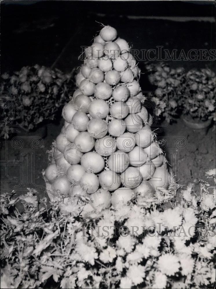 Press Photo Pyramid Of Oignons Flower Fruit Show Of France Cours Albert - Historic Images