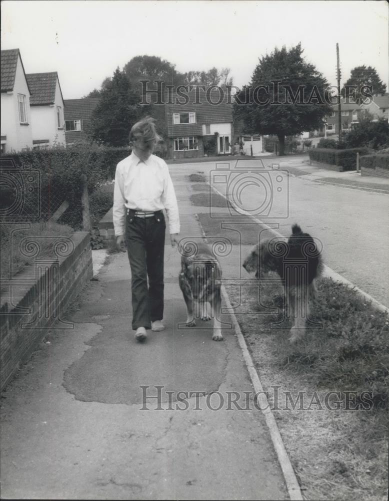Press Photo Peter Rattray takes Judy the blind alsatian dog for a walk - Historic Images