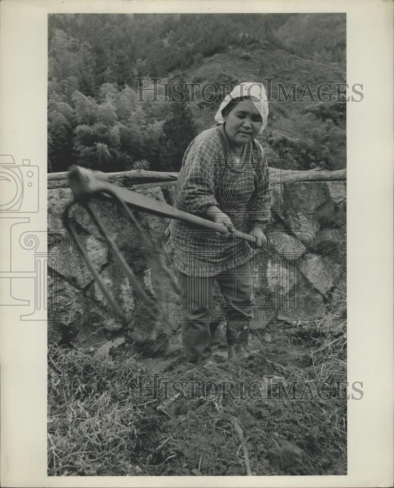 Press Photo Farmer Woman - Yamano, Japan - Historic Images