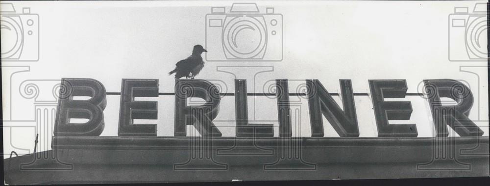 Press Photo Bird on Sign - Historic Images