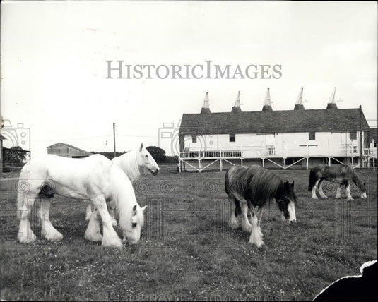 Press Photo Lord Mayor's coach and horses - Historic Images
