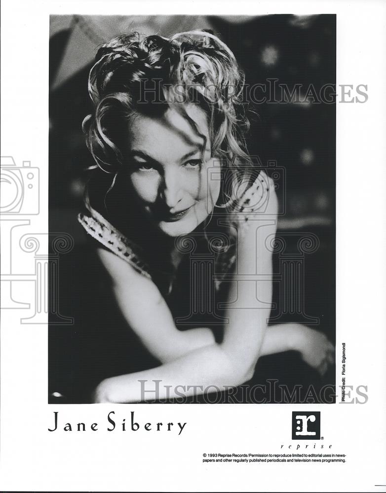 1993 Press Photo Jane Siberry - cvp26527 - Historic Images