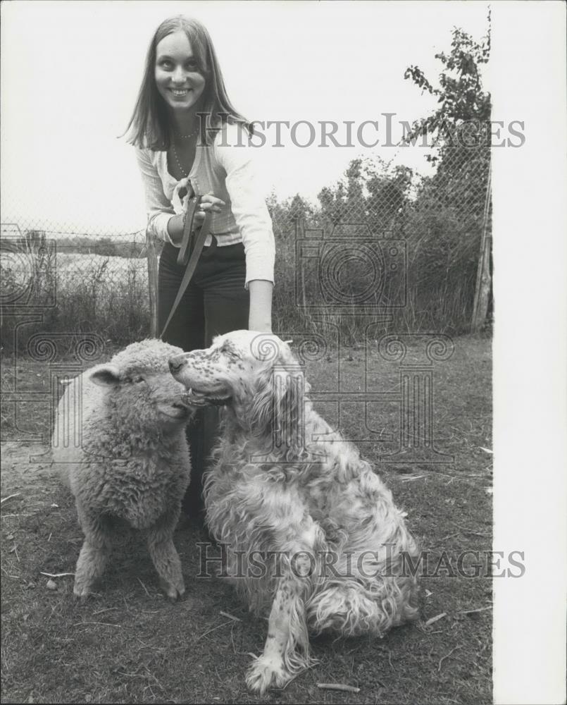 Press Photo Carilyn Oddy walks her dog and sheep on a leash - Historic Images