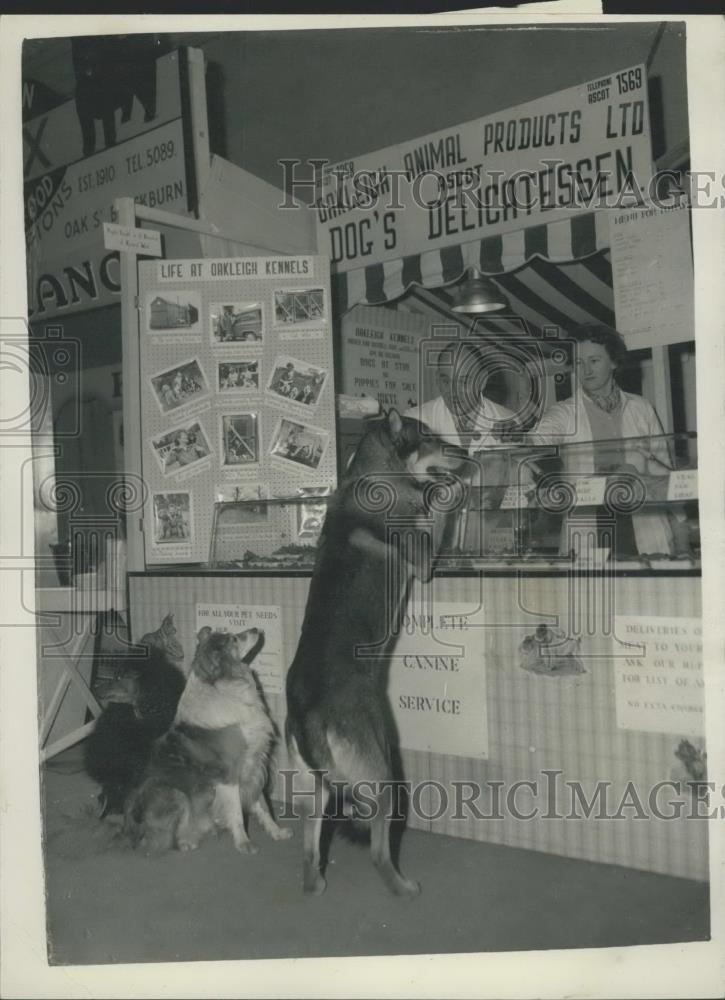 1958 Press Photo Cruft&#39;s dog show - Historic Images