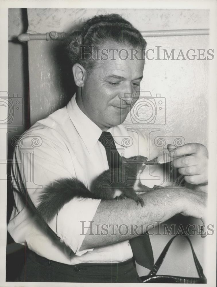 Press Photo Macky the squirrel likes to drink milk from the bottle - Historic Images