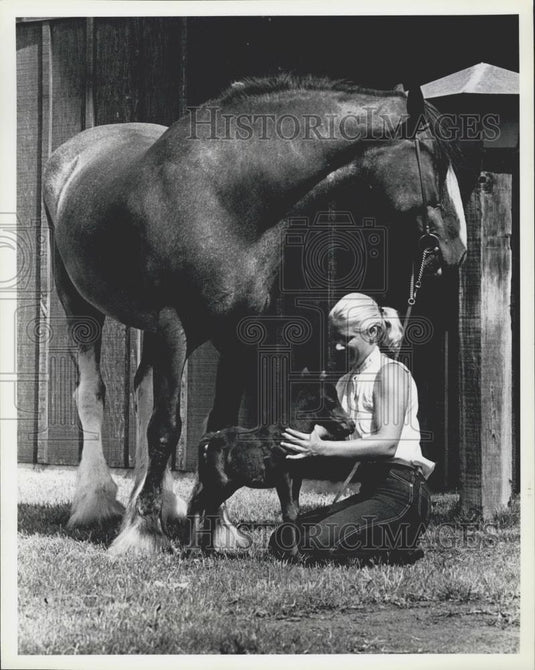 1981 Press Photo Joan Embery with a mini colt at the San Diego Zoo - Historic Images