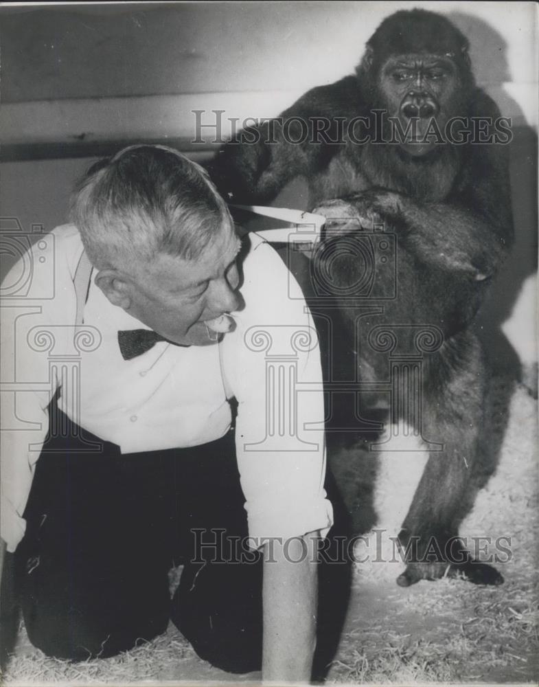 Press Photo Sir Edward Hallstrom and a gorilla - Historic Images