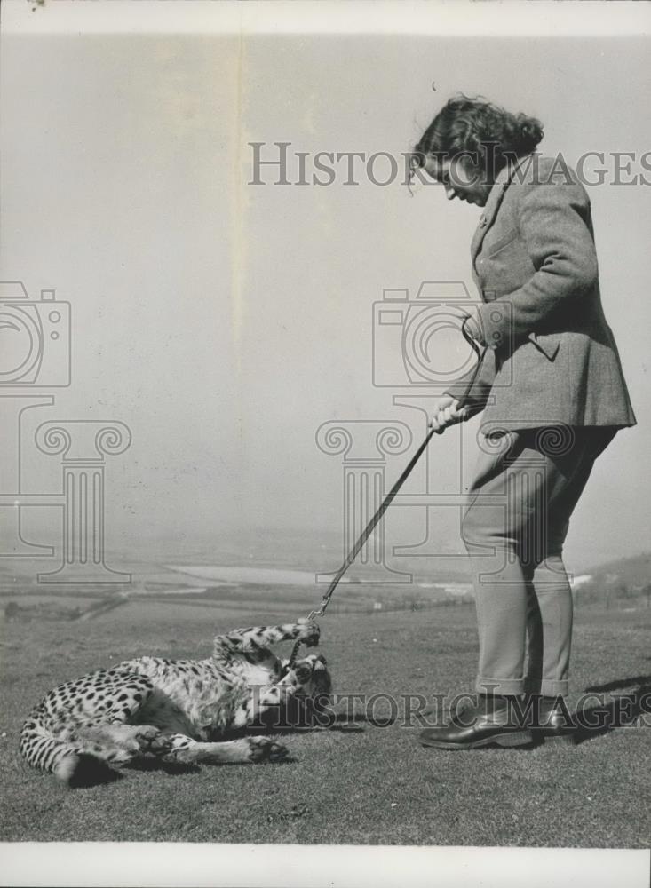 Press Photo African Cheetah Mickey - Historic Images