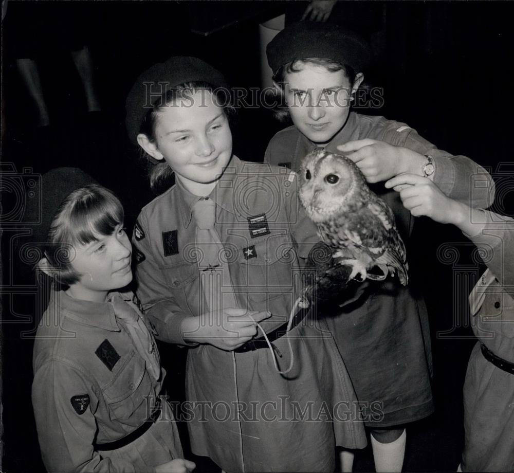 1967 Press Photo Zoo Qurst Prizewinners - Historic Images