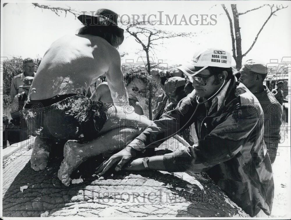 Press Photo Checking the Elephant - Historic Images