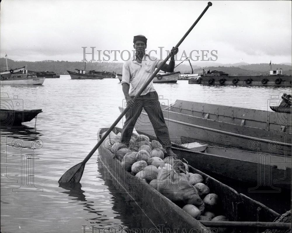 Press Photo Ecuadorean canoer full of coconuts - Historic Images