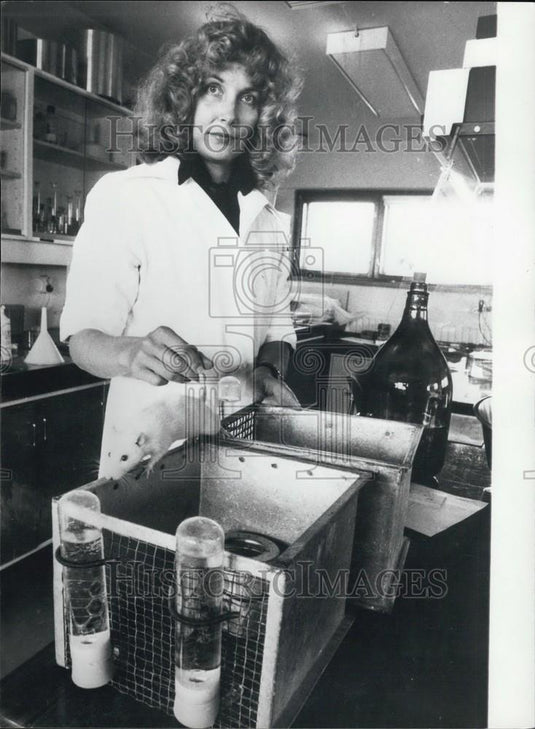 Press Photo Scientist, Lab Mice - Historic Images