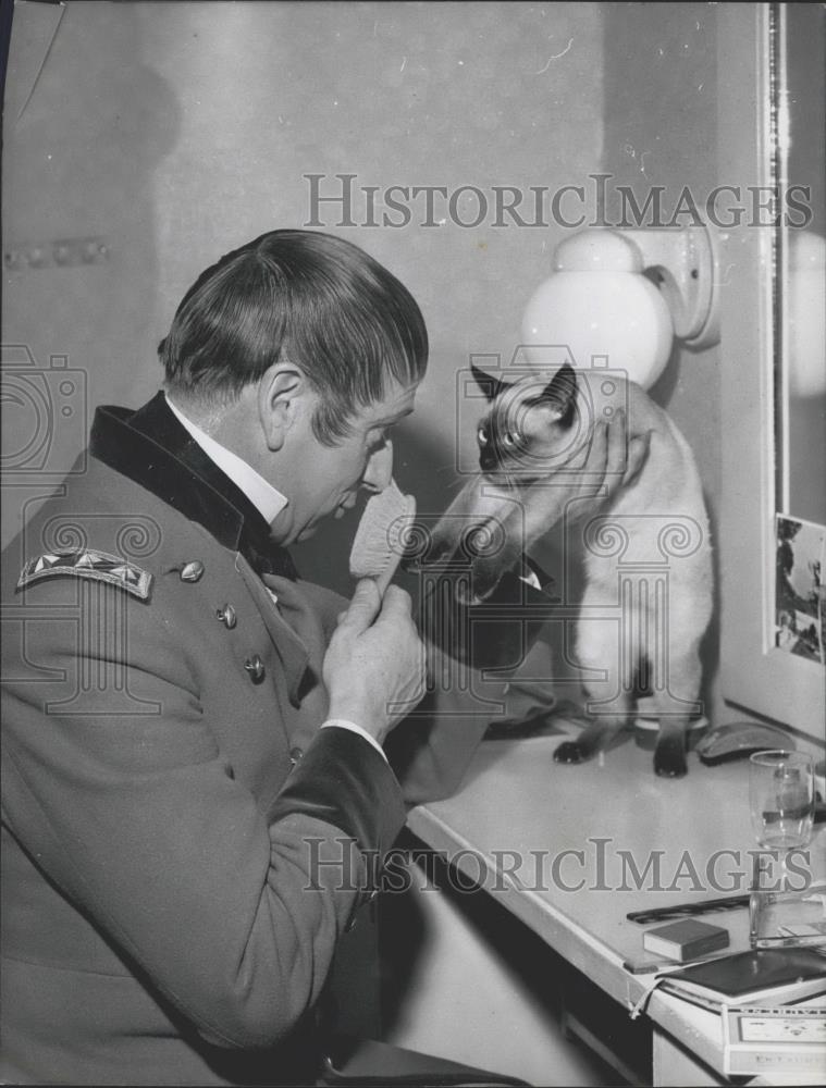 Press Photo Persian cat and groomer - Historic Images