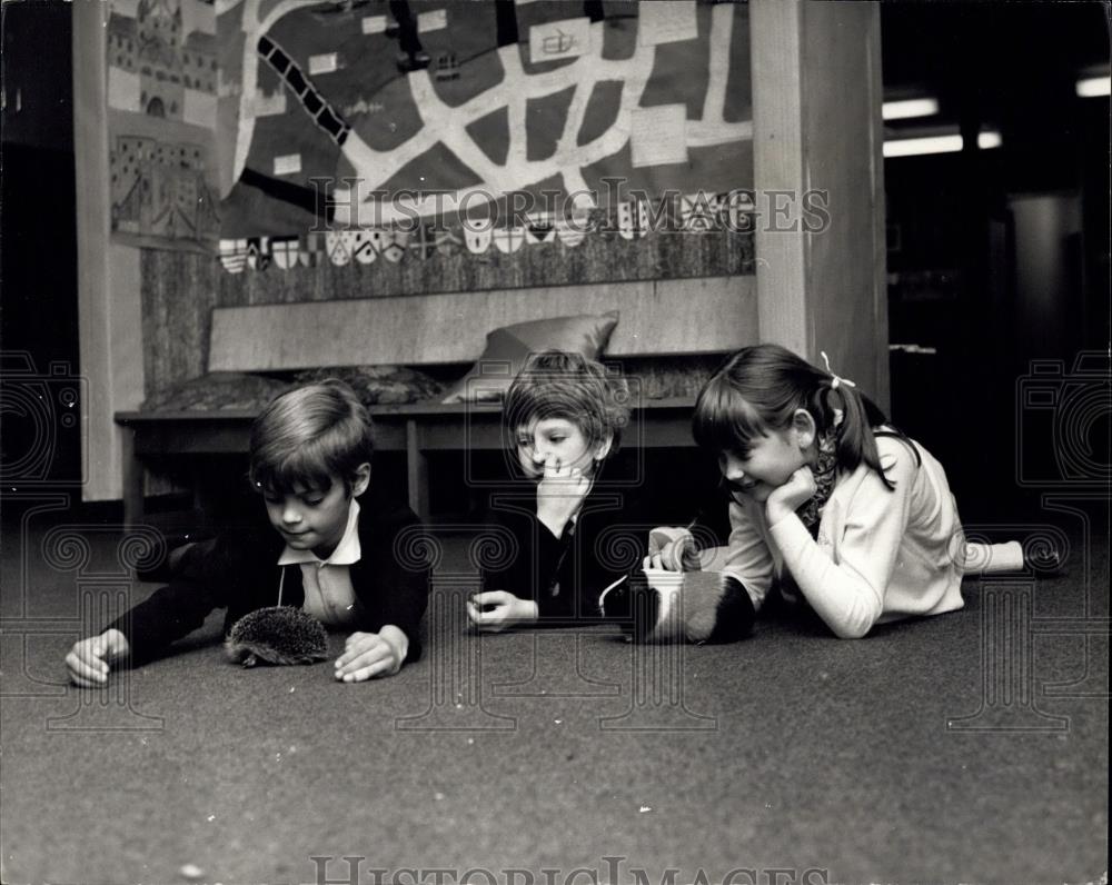 1969 Press Photo nw inner London Education Authority primary school, Prior Westo - Historic Images