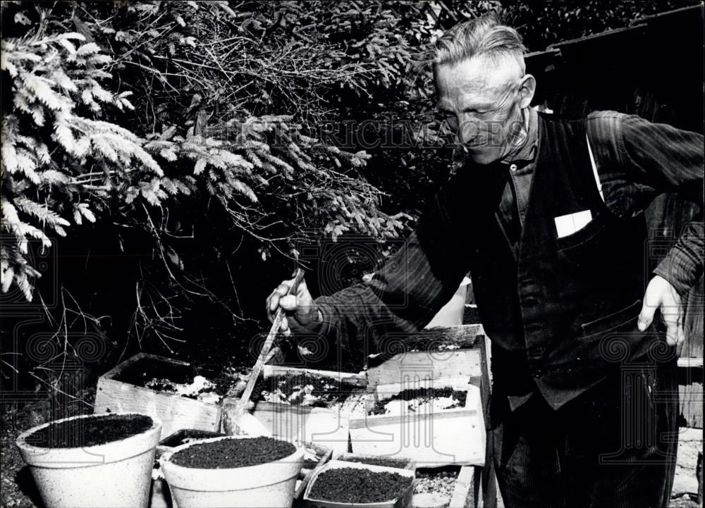 1963 Press Photo Otto Kratzer, called &quot;Wurm-Otto&quot;, feeding his worms. - Historic Images