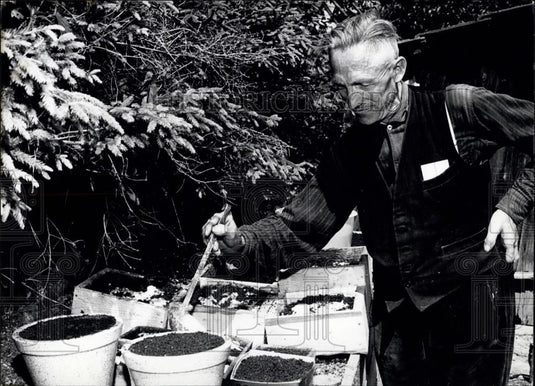 1963 Press Photo Otto Kratzer, called "Wurm-Otto", feeding his worms. - Historic Images