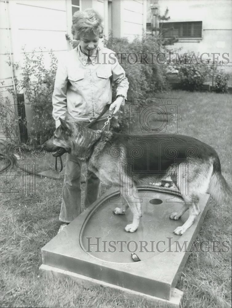 1974 Press Photo New invention for dogs,a special lavatory - Historic Images