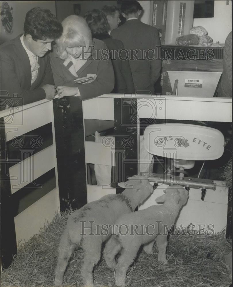 1965 Press Photo Britain&#39;s Royal Dairy Show held at the Olympia - Historic Images