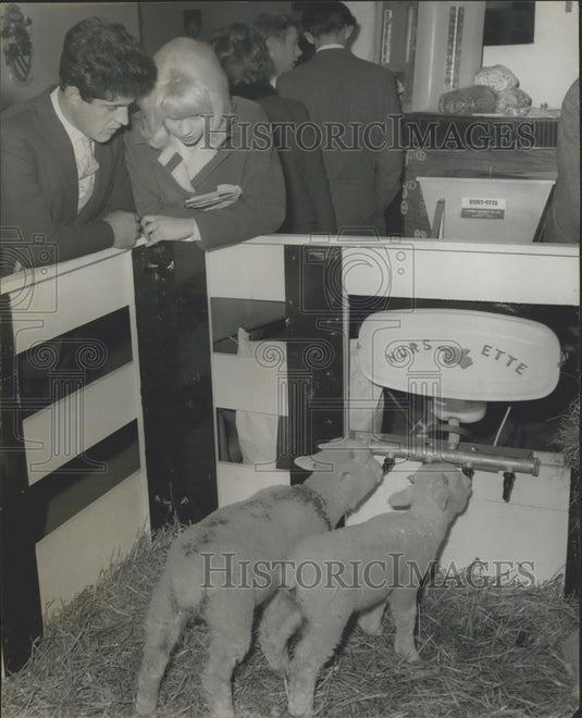 1965 Press Photo Britain's Royal Dairy Show held at the Olympia - Historic Images
