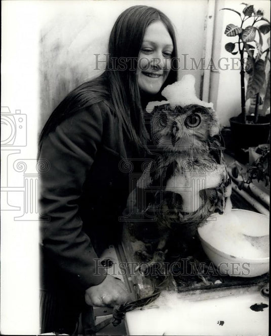 Press Photo Wowl Star Attraction In Lord Masserene's Children Castle, Kent - Historic Images