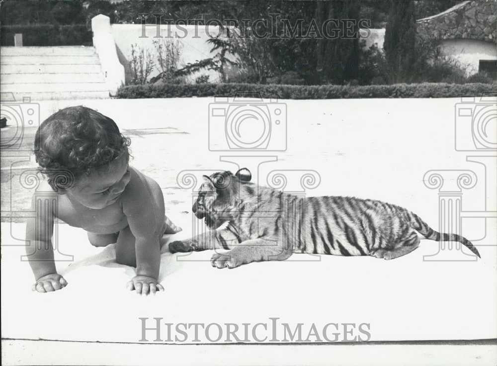 1978 Press Photo A baby and his tiger cub playmate at zoo Frejus - Historic Images