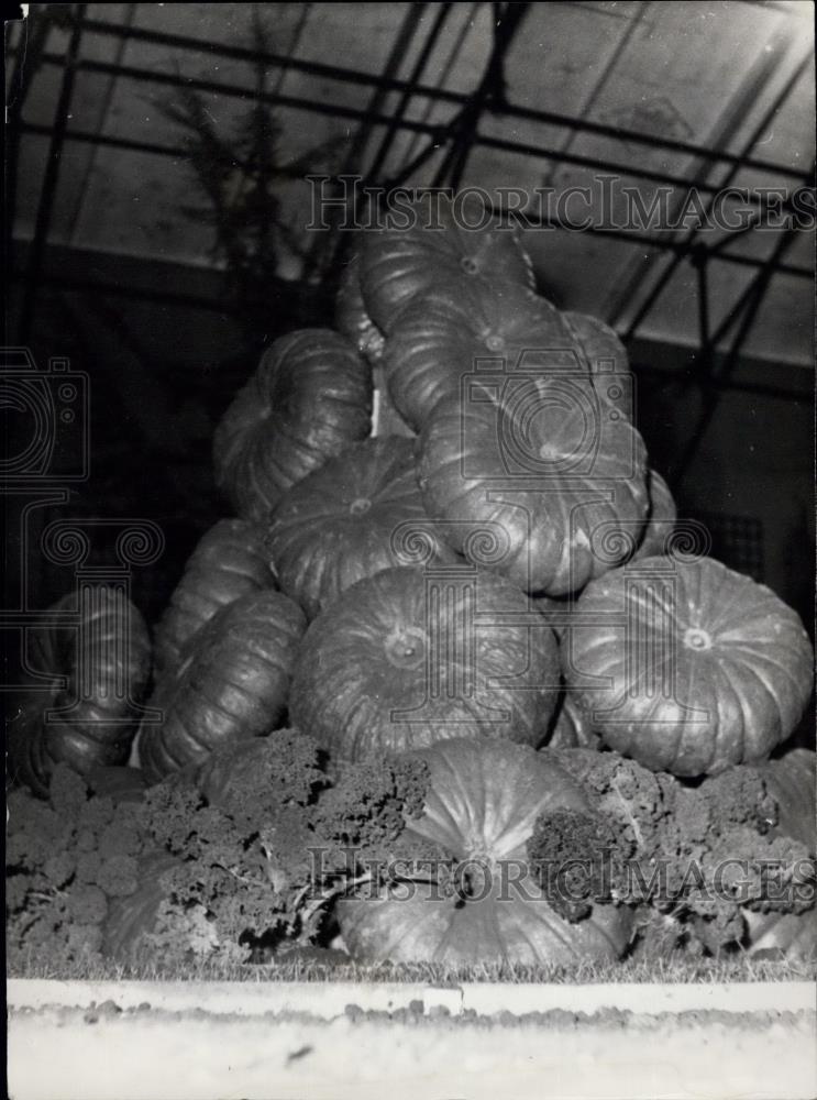 1953 Press Photo A Mountain Of Pumpkins - Historic Images