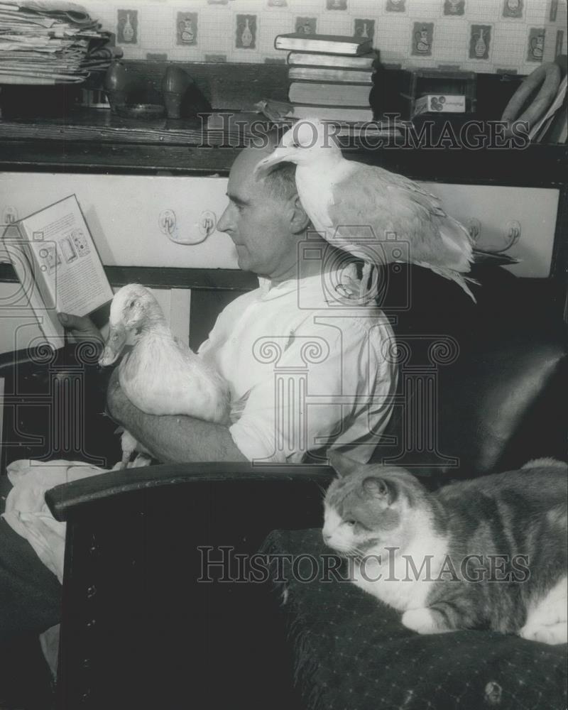 Press Photo Mr. Thorner with a gull and a cat - Historic Images