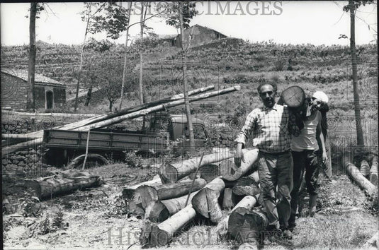 1971 Press Photo Mount Etna - Historic Images