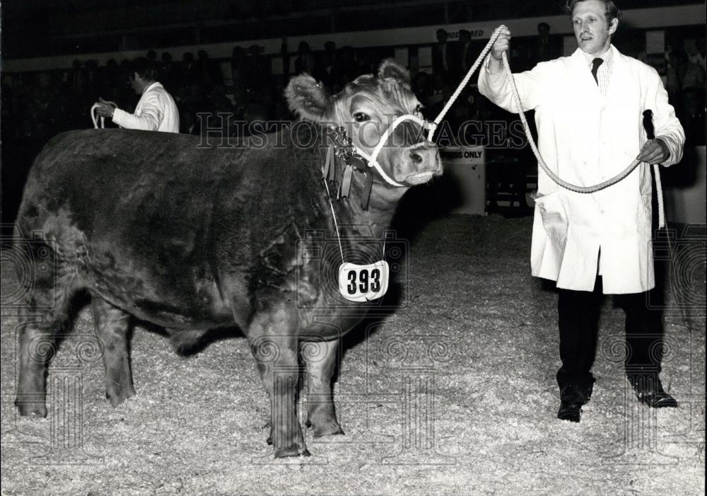 1973 Press Photo Supreme Champion Steer &quot;Clunk-Click&quot; &amp; Owner John Lascelles - Historic Images