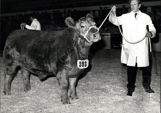 1973 Press Photo Supreme Champion Steer "Clunk-Click" & Owner John Lascelles - Historic Images